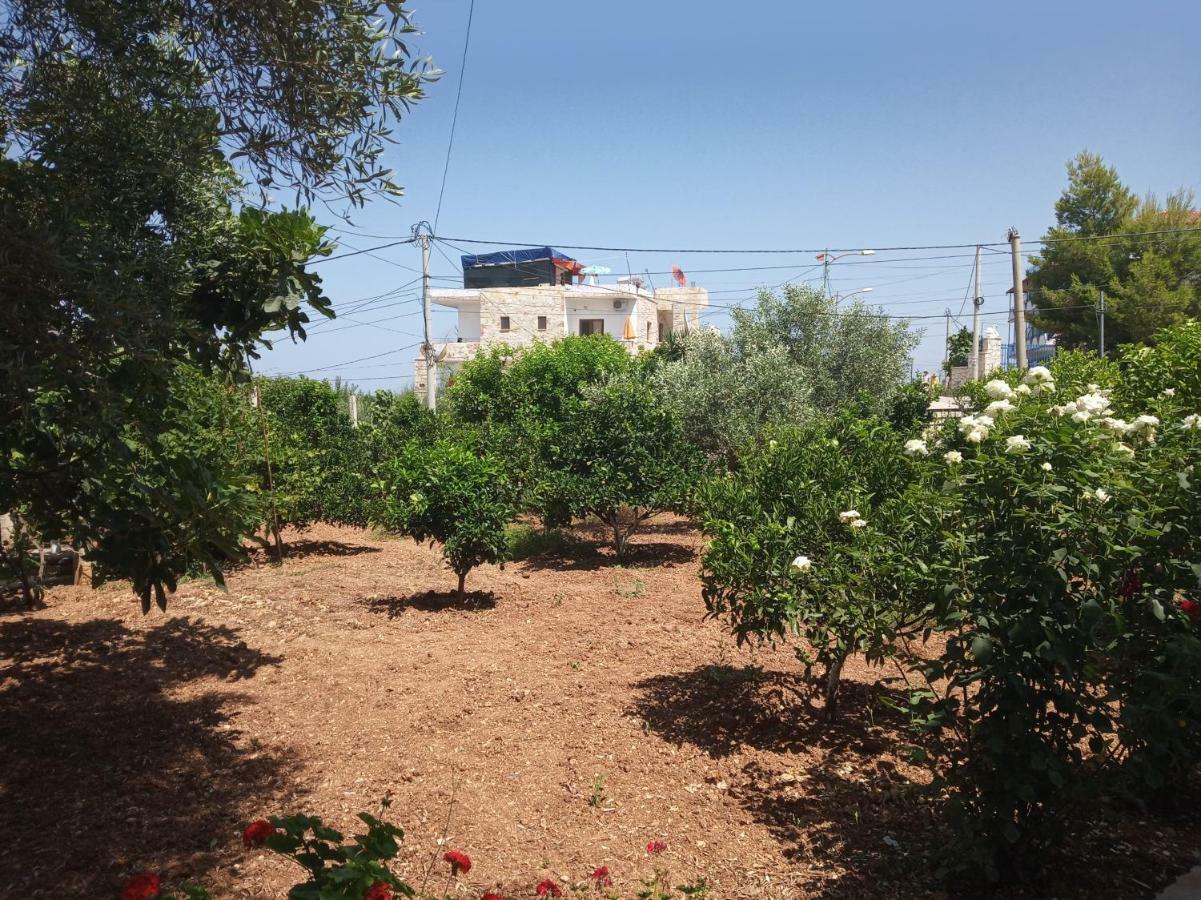 Guesthouse Vila Ari Ksamil Extérieur photo